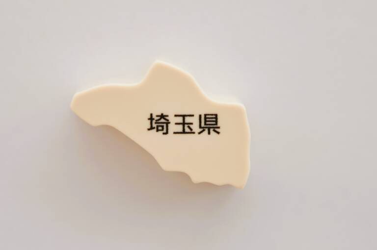 埼玉県の地図模型